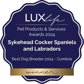 LUXLife Pet Products and Services Award 2024